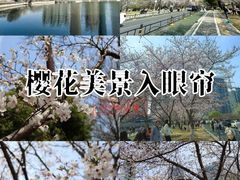 -西北湖绿化广场