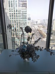 -颜蕾医美·黄金微针·水光·玻尿酸·超声炮·抗衰中心