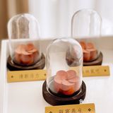 明星同款SPA | 快来给身心做个疗愈吧😌