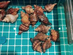 -狮伙海鲜捞(千灯湖店)