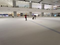 -TheRink大零溜冰场(IFS国金中心店)