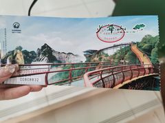 -少华山国家森林公园