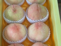 -南汇水蜜桃采摘(大团店)