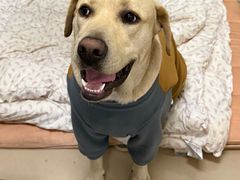 -博特宠物医院24h犬猫全科.骨科·异宠