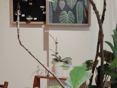 -echoes coffee回响咖啡(红山店)