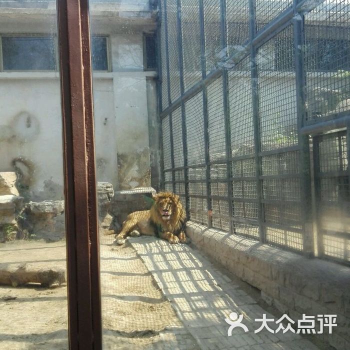 济南动物园