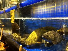 -长禧家·珑厨(东山口店)