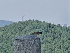 -云龙山
