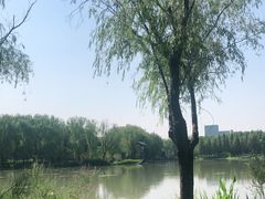 -昆山城市生态森林公园