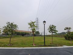 -王借岗森林公园