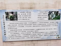 -青藏高原野生动物园