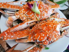 -卷心菜和避孕套餐厅(Pattaya)