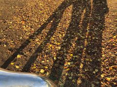 -金泽21世纪美术馆