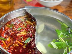 -章记正宗南岗鱼蛋火锅