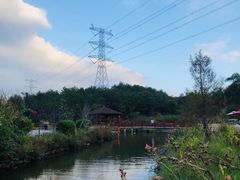 -清境桃源