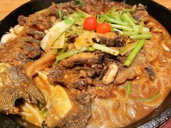 -老板恋上鱼(恒隆广场店)