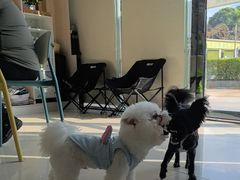 -乐琪宠物医院·犬猫专科·骨外科·急重症