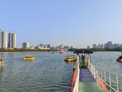 -天津水上公园
