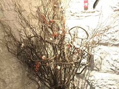 -水月·和牛工坊(水晶郦城店)