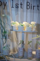 -觅糖派对·宝宝宴生日宴一站式派对策划(河西店)