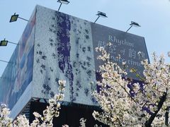 -龙美术馆西岸馆-停车场