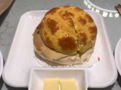 -南枝记