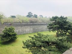 -北陵公园