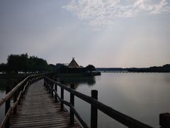 -西青郊野公园