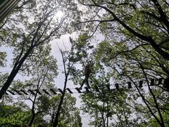 -WeLope紫金山探险公园