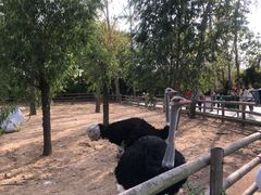 -大连森林动物园