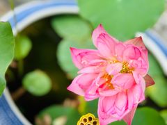 -西安市广仁寺