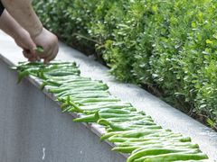 -头卡子工农兵粉店(黄兴北路店)