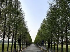 -嘉北郊野公园