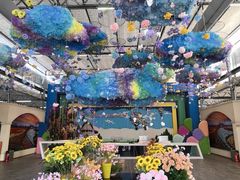 -荷兰花海