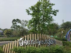 -江门古劳水乡旅游区