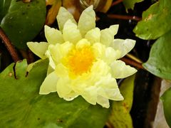 -贵州省植物园