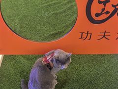 -上海长风大悦城