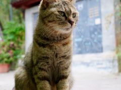 -红螺寺