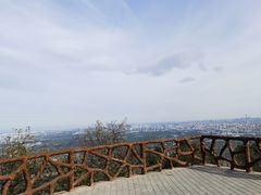 -北京西山国家森林公园