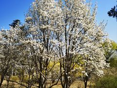 -国家植物园南园