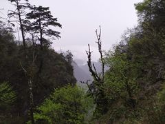 -峨眉山风景名胜区