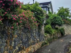 -石塘人家