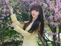 -金鸡湖桃花岛