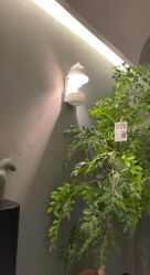 -苏州奥拉克美容医院