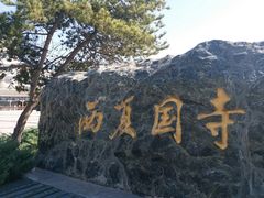 -张掖大佛寺景区