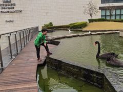 -行者书屋大堂吧 ·下午茶(南京圣和府邸酒店)