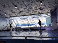 -秦皇岛乐岛海洋王国