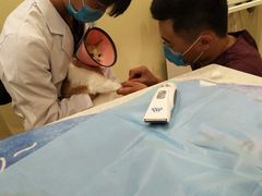 -美迦爱-牙专科·兔科·骨科诊疗中心(北苑店)