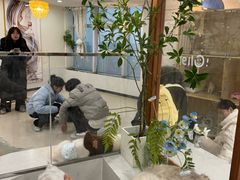 -共舞时光猫咖·狗咖(新街口店)