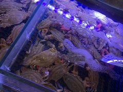 -福禧荟·海鲜自助